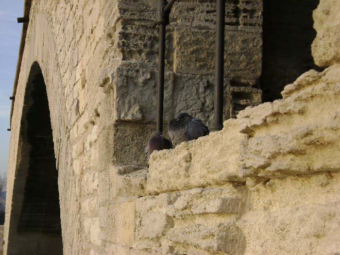 dsc00076