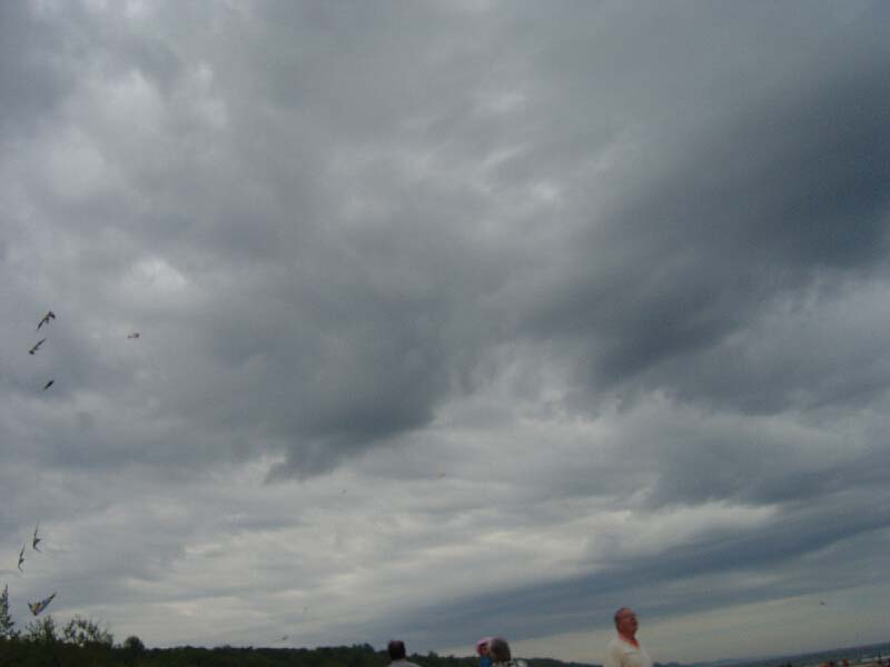 dsc00477