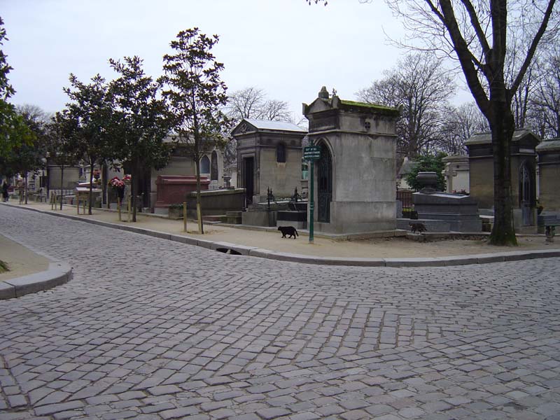 dsc02176