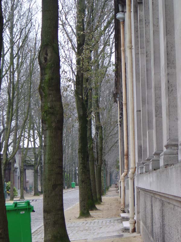 dsc02178