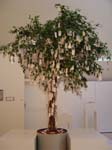 dsc02317