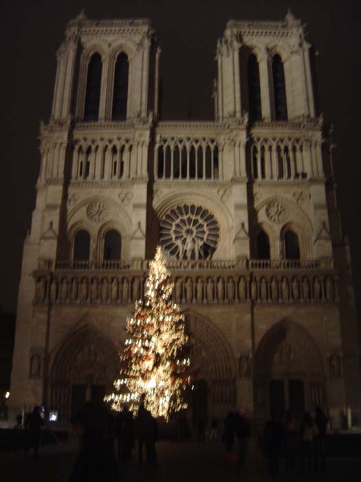DSC03242