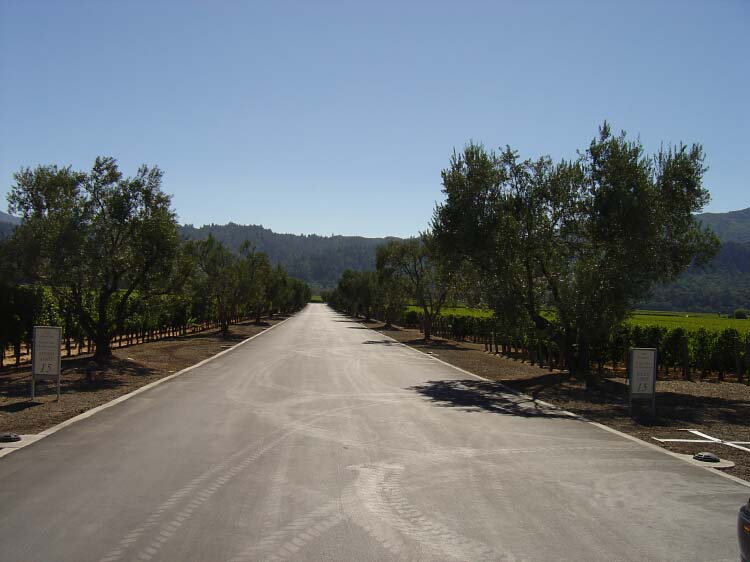 dsc00678