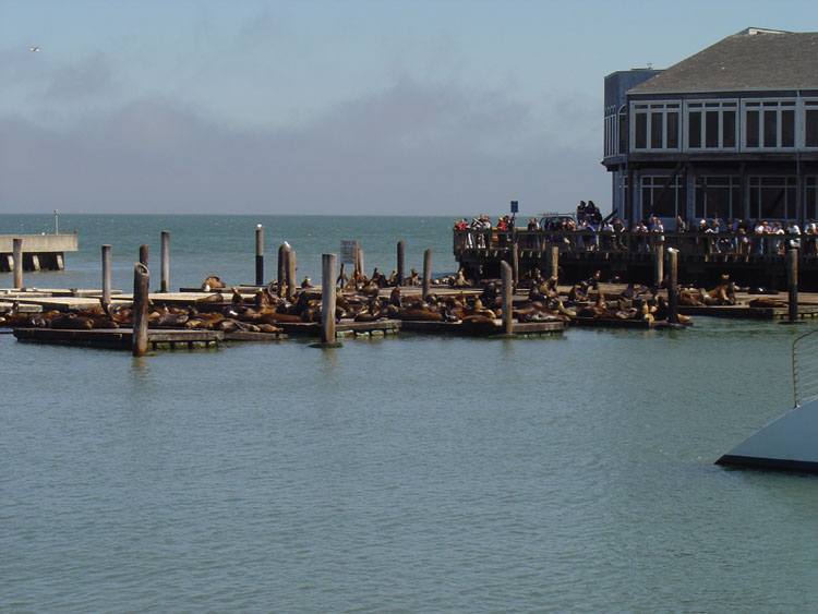 dsc00685