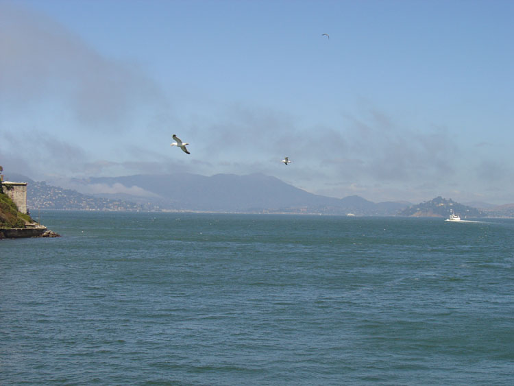 dsc00690