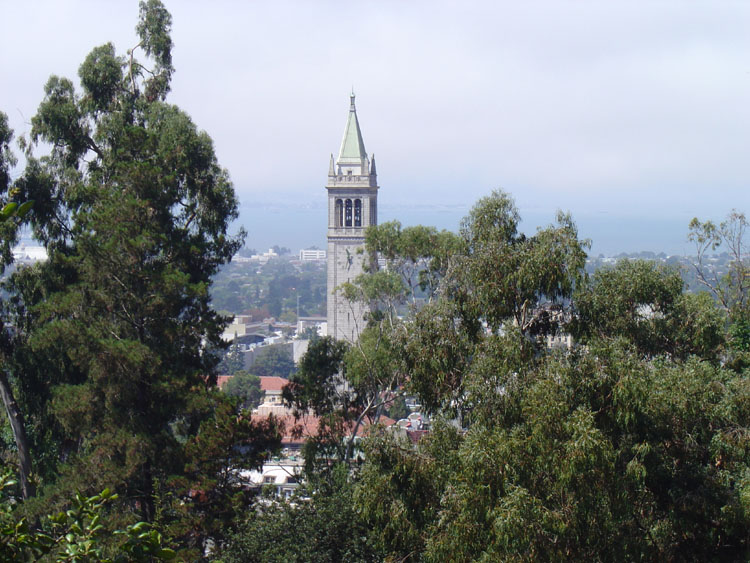 dsc00768